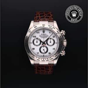 Rolex Cosmograph Daytona