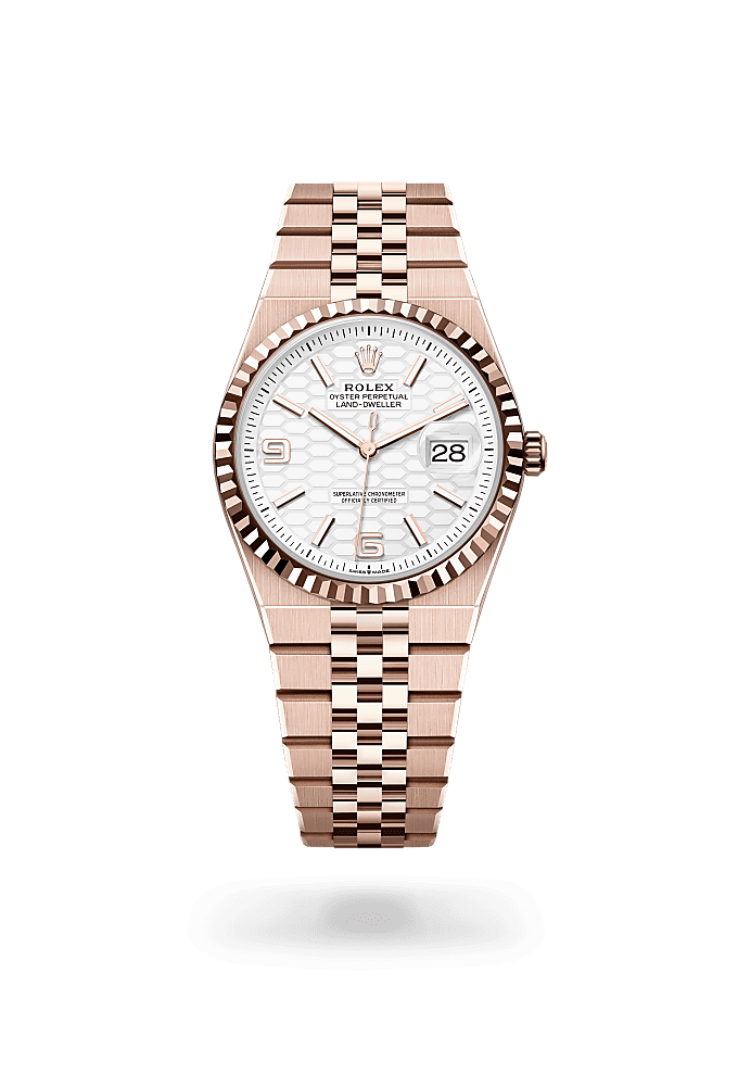 Rolex Land-Dweller 36 Everose gold (intense white dial) photo 1
